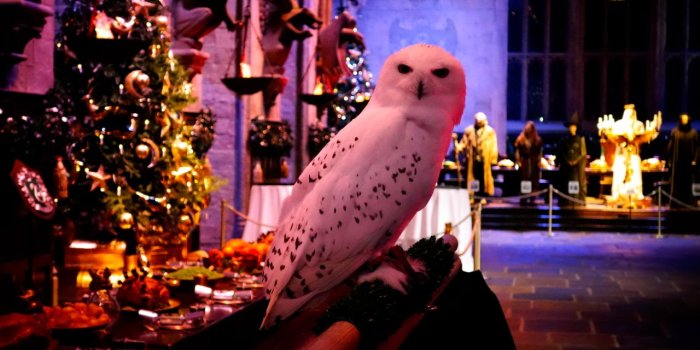 1280x853 Hogwarts Christmas Feast - The Londoner