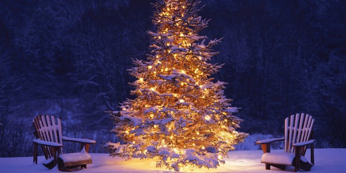 1920x1080 Christmas tree snow wallpaper - SF Wallpaper