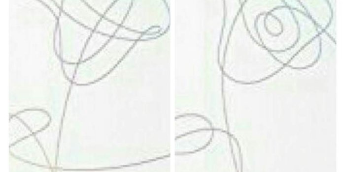 776x1024 How To Draw Bts Love Yourself Flower Step By Step - Flowers Healthy