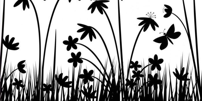 1228x921 Black And White Flowers Wallpapers Hd | SOIDERGI
