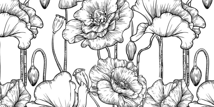 1650x1070 Black and White Flower Wallpaper | Illustrated Flowers