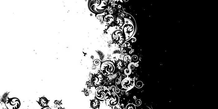 1920x1200 Black and white flowers wallpapers HD