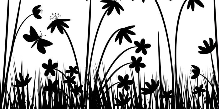 1024x768 Black and white flowers wallpapers HD