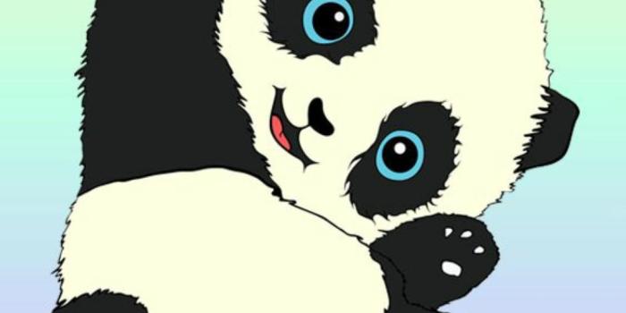 1080x1920 Panda unicorn wallpapers ❤ Cute Backgrounds for Android - APK Download