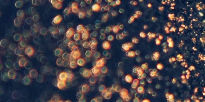 744x1392 Free download Glitter Wallpapers For Iphone 5 Top Wallpapers