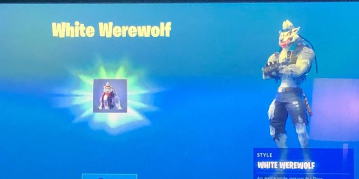 1024x768 Just got white dire and wolfpack backbling | Fortnite: Battle Royale