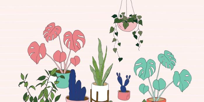 1909x2545 Urban jungle pot plant desktop wallpaper | Art | Plant wallpaper