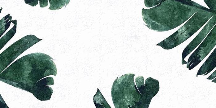 750x1334 35+ Plant Phone Wallpapers - Download at WallpaperBro