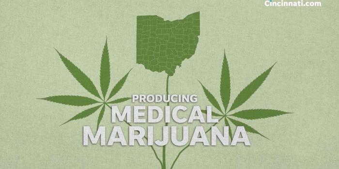 1920x1080 Growing medical marijuana: Ohio's seed to sale process