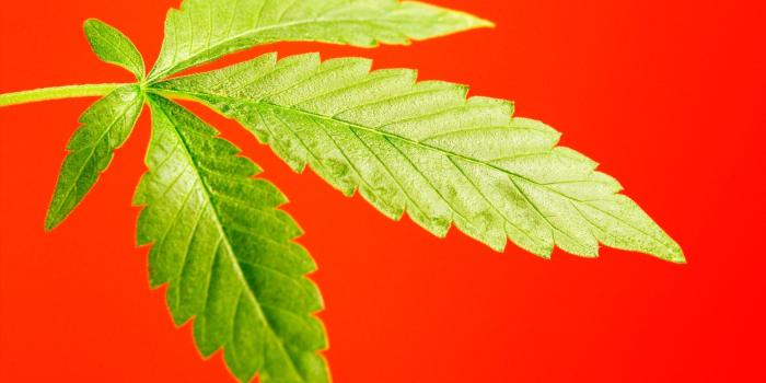 1920x1440 If Weed Got Branding Like This, Maybe the Man Wouldn't Hate on It