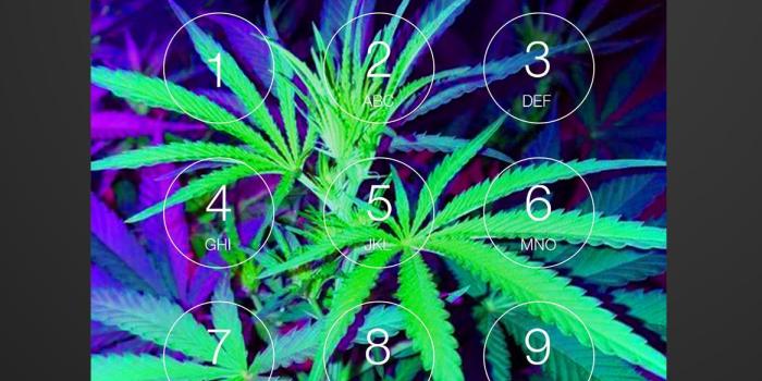 1166x2000 Weed 420 Marijuana Aesthetic Smart Lock Screen for Android - APK