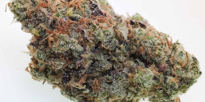 2581x1722 Grape God Strain Review - I Love Growing Marijuana