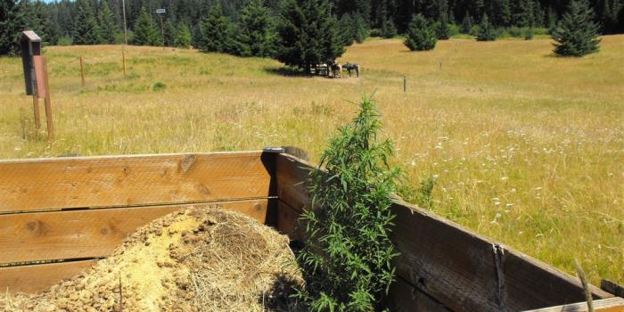 1024x768 Washington State Noxious Weed Control Board