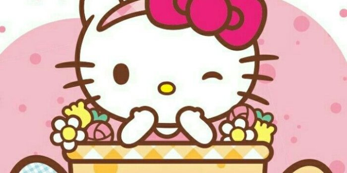 720x1280 Hello Kitty | Hello Kitty | Hello kitty wallpaper, Hello kitty, Kitty