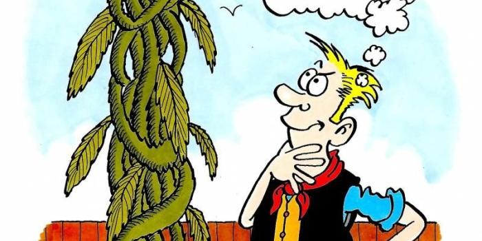 800x1141 David Cameron 'put his private parts in a dead pig's mouth Dope