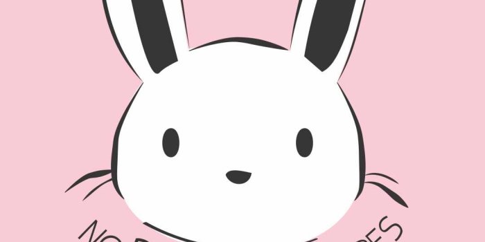 1080x1920 No Bunny Compares