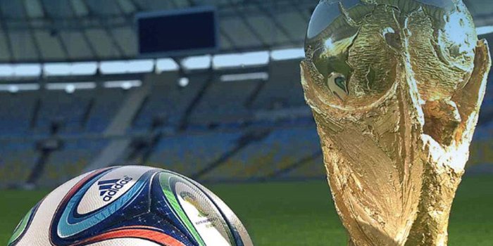 1080x1920 World Cup 2014 Brazil Trophy And Brazuca Ball Android Wallpaper free