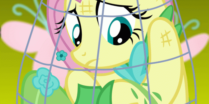 748x1069 My Little Pony Friendship is Magic images iPhone/Pod Wallpaper HD