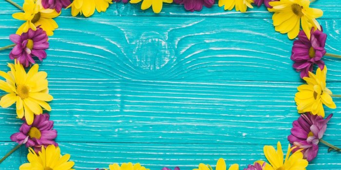 1332x850 Wallpaper flowers, background, blue, Blue, yellow, wood, flowers