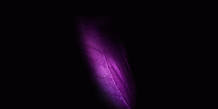 1280x720 Wallpaper Samsung Galaxy Fold, Leaf, Purple, Stock, 4K, Black/Dark