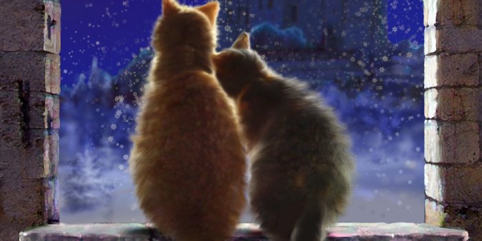 2362x1476 Art Cats pair love snow Winter window sill castle night Snowflakes