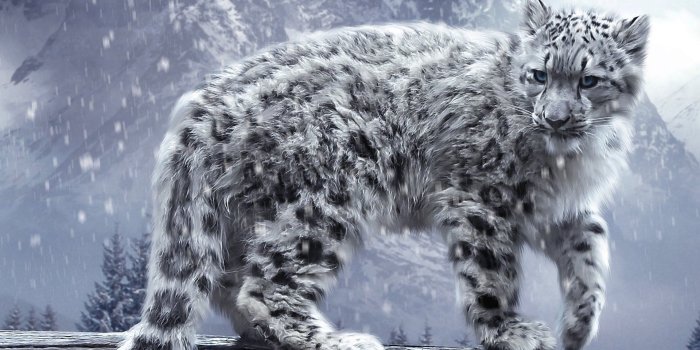 1920x1200 65+ Big Cats Wallpapers on WallpaperPlay