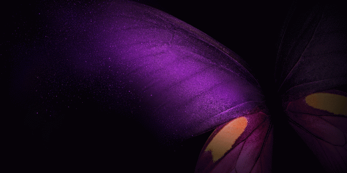 1280x720 Wallpaper Samsung Galaxy Fold, Butterfly, Purple, Pink, Black