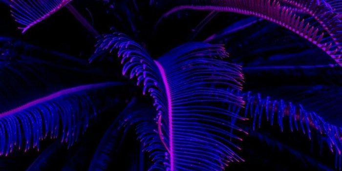 1080x1920 Neon Aesthetic Phone Wallpapers - Top Free Neon Aesthetic Phone