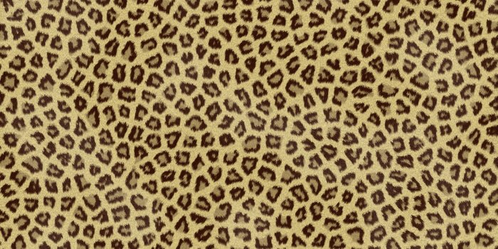 2214x1383 Animal Print Backgrounds