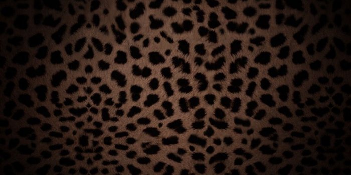 1024x1024 Leopard Print iPad Wallpaper | ipadflava.com