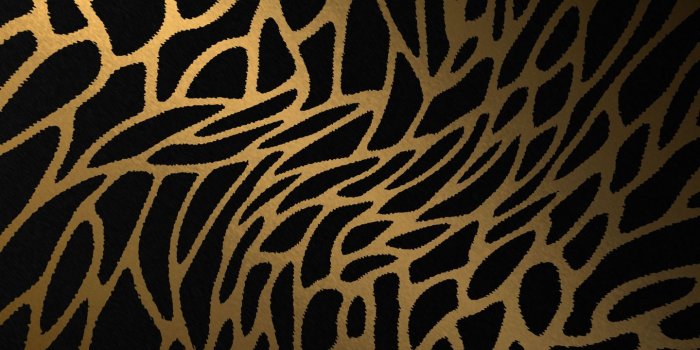 1440x900 72+] Animal Print Desktop Backgrounds on WallpaperSafari