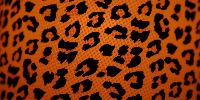 2711x1807 Animal Print Wallpapers - Top Free Animal Print Backgrounds