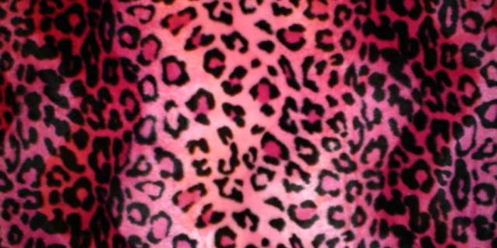 1024x768 Animal Print Desktop Backgrounds