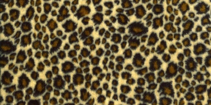 900x1239 900x1239px Leopard Print Wallpaper for Computer - WallpaperSafari