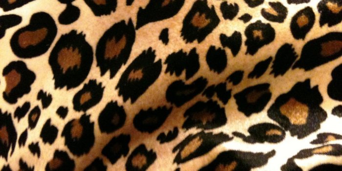 1600x1200 Best 57+ Print Backgrounds on HipWallpaper | Floral Print Wallpaper