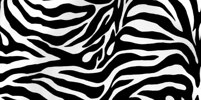 1366x768 Animal Print Wallpapers - Top Free Animal Print Backgrounds