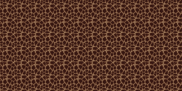 2560x1440 Animal Print Wallpapers - Top Free Animal Print Backgrounds