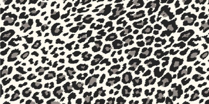 1000x1000 50+ Pink Cheetah Wallpapers - Download at WallpaperBro