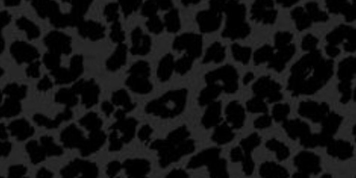 1125x1646 Dark cheetah | Wallpaper | Leopard wallpaper, Cheetah wallpaper
