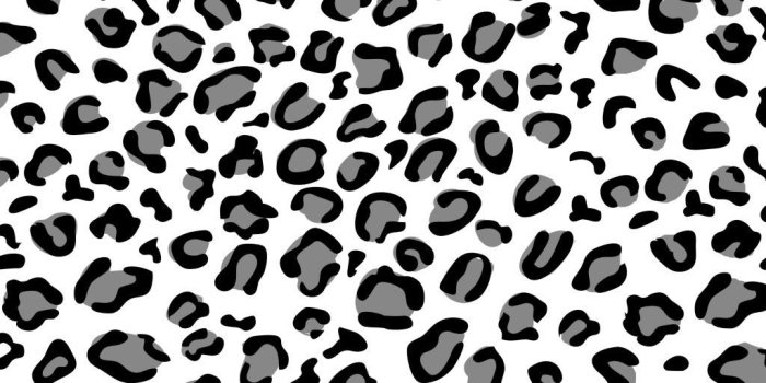 1024x1024 Animal Print Wallpapers - Top Free Animal Print Backgrounds