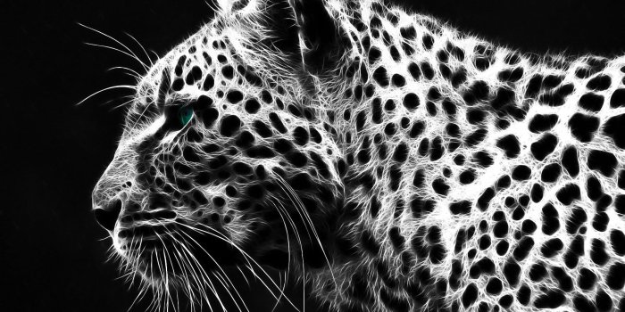 1920x1200 Black Leopard Background ·① WallpaperTag