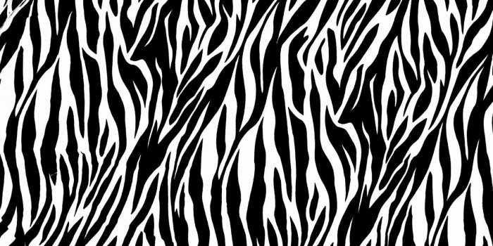 1600x900 Animal Print Wallpapers - Top Free Animal Print Backgrounds