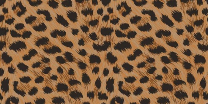 940x950 Leopard Print Wallpaper | Lib Wallpapers