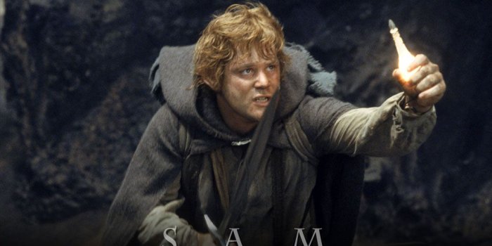 1024x768 Lord of the Rings images Sam HD wallpaper and background photos (492187)
