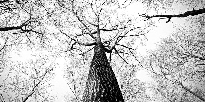 3264x2448 Black And White Wallpaper on newwallpaperdownload.com