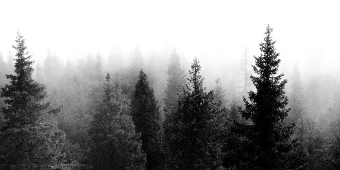 2560x1440 70+ Black and White Desktop Wallpapers - Download at WallpaperBro