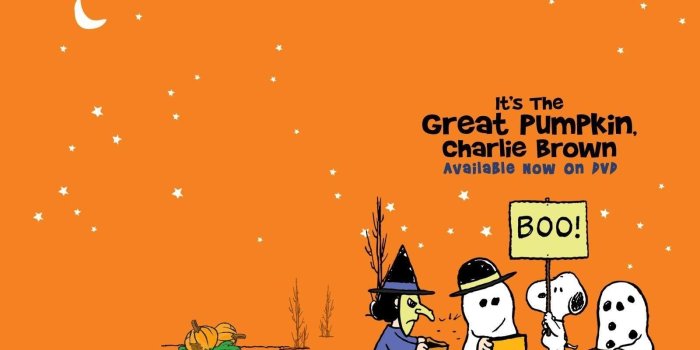 1600x1200 Charlie Brown Halloween Iphone Wallpaper | inceptionwallpaper.com