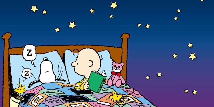 1920x1080 Charlie Brown Wallpaper #6878697