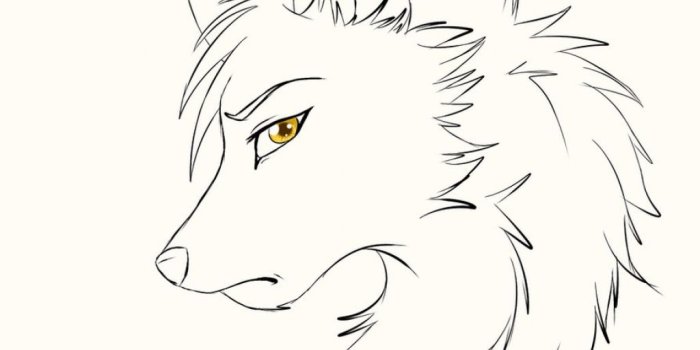 1024x1024 Anime Wolf Sketch at PaintingValley.com | Explore collection of