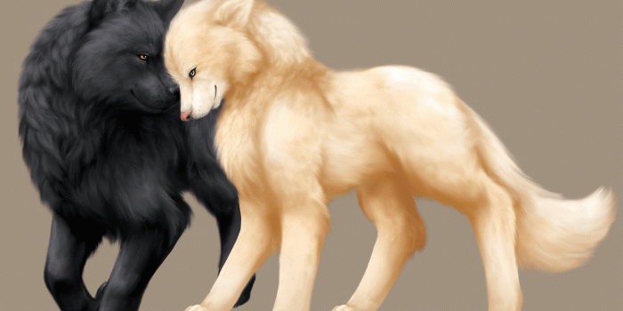 1521x1127 Anime wolf couples clipart - AbeonCliparts | Cliparts & Vectors for